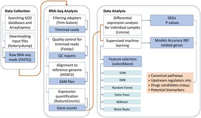 Exploring potential biomarkers and therapeutic targets in inflammatory bowel disease: insights from a mega-analysis approach